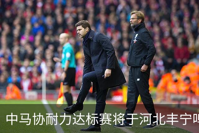 中马协耐力达标赛将于河北丰宁鸣枪 数十家专业马术俱乐部角逐