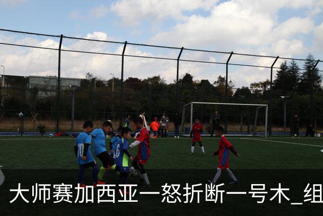 大师赛加西亚一怒折断一号木 组委会首次发出警告