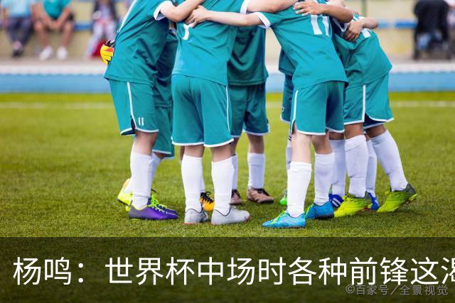 杨鸣：世界杯中场时各种前锋这渴了那饿了全来了 谁能记住后卫呢
