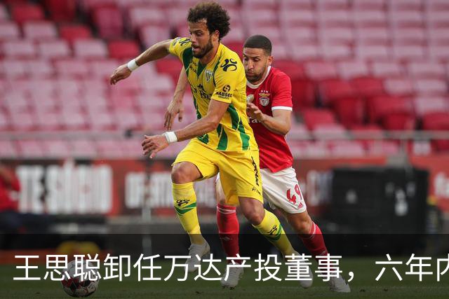 王思聪卸任万达产投董事，六年内已三度退出“万达系”决策层