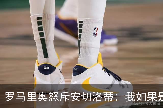 罗马里奥怒斥安切洛蒂：我如果是足协成员 会把他送进地狱