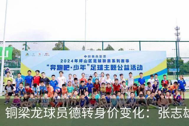 铜梁龙球员德转身价变化：张志雄等11人上升，阿马杜等4人下降